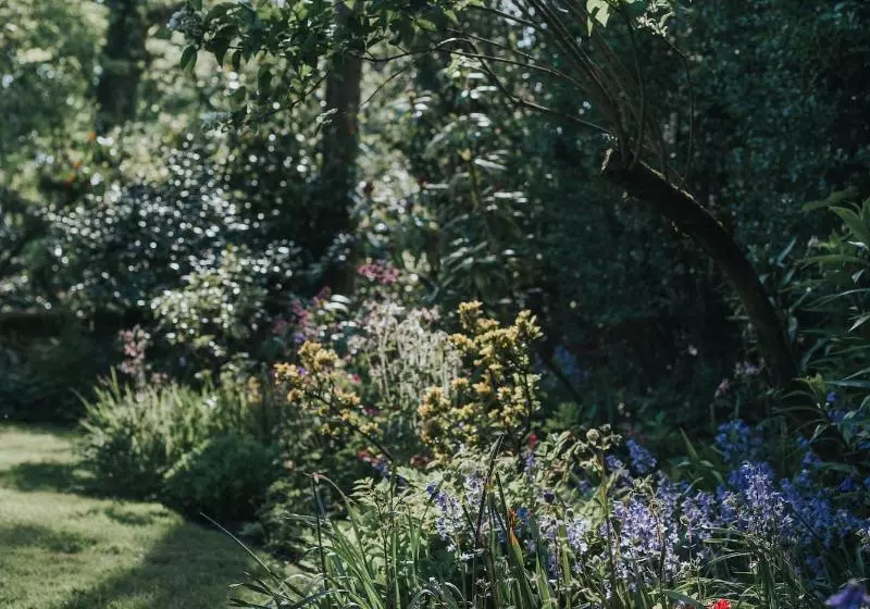 Отель Rosehill House