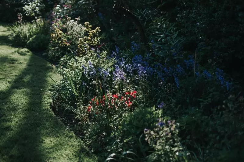 Отель Rosehill House