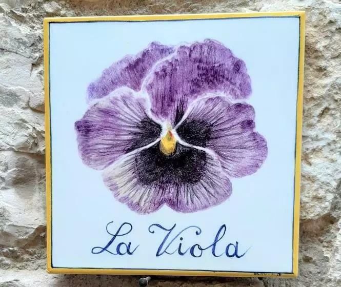 Majatalo La Viola Di Assisi