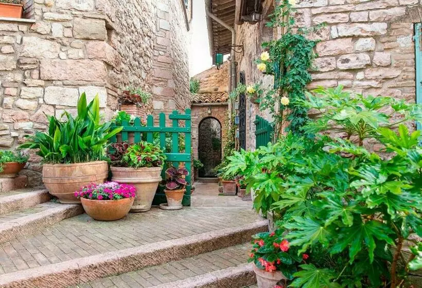 Majatalo La Viola Di Assisi