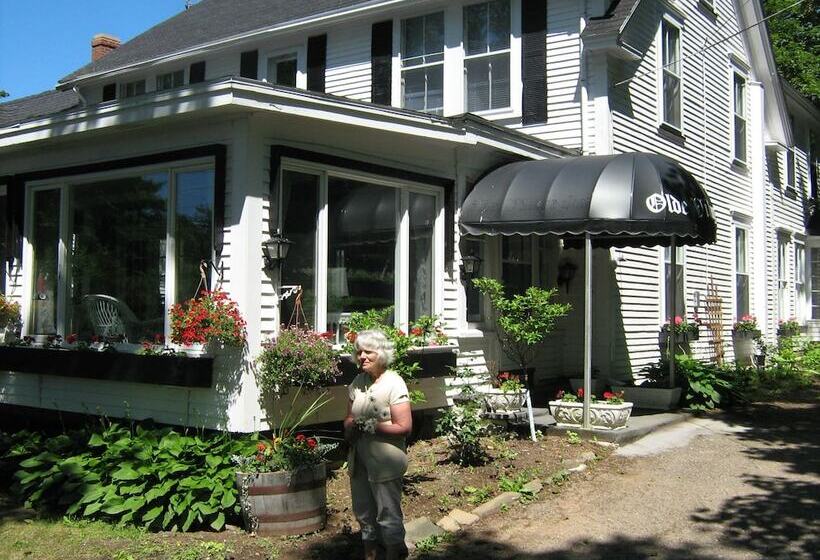 הוסטל The Olde Village Inn