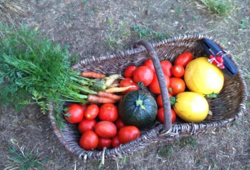 مبيت وإفطار Le Manoir De Crisolles