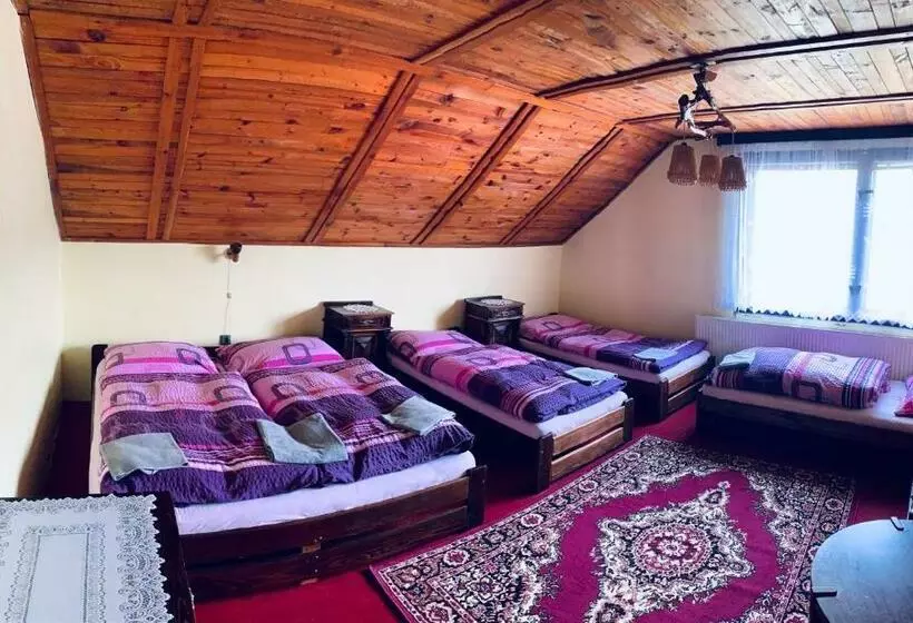 ペンション Guesthouse Prachovské Skály