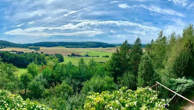 ペンション Guesthouse Prachovské Skály