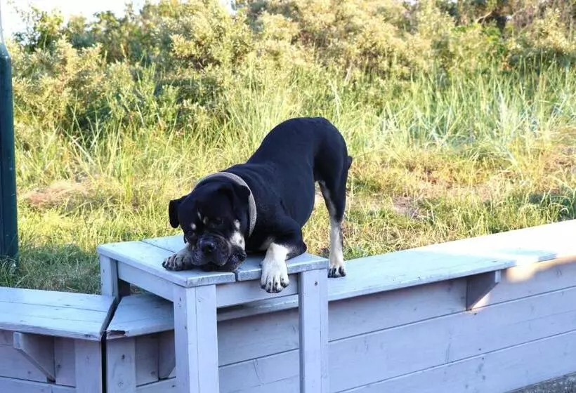 Hotelli Upstalsboom Langeoog