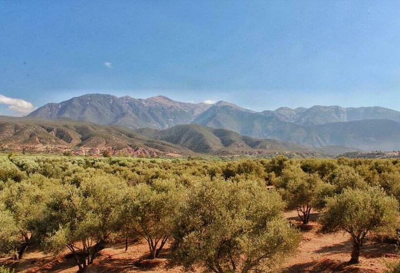 Pension Le Domaine By Makassar