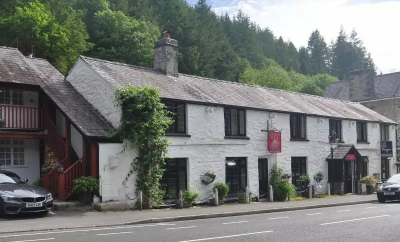 Dragon Bed And Breakfast