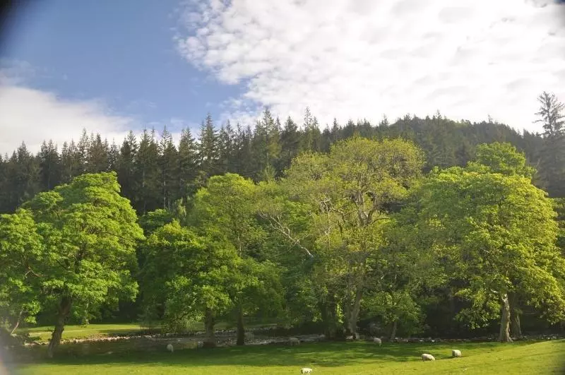 Dragon Bed And Breakfast