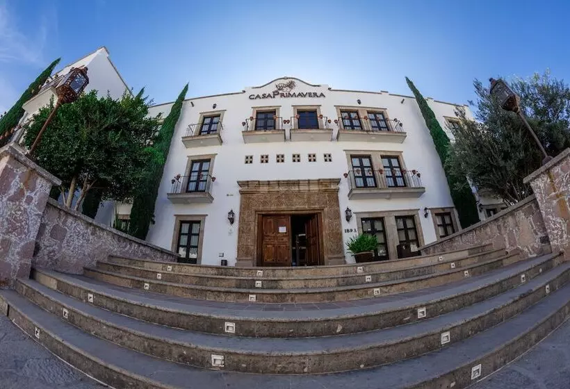 هتل Casa Primavera Boutique & Spa