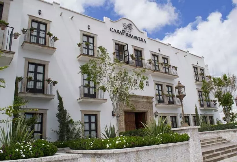 هتل Casa Primavera Boutique & Spa