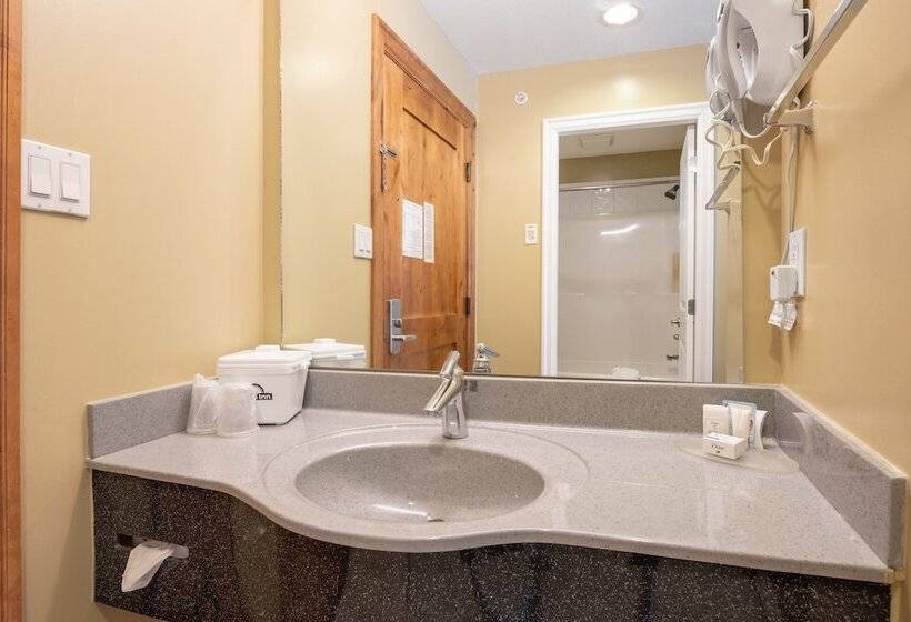 בית מלון כפרי Days Inn By Wyndham Surrey