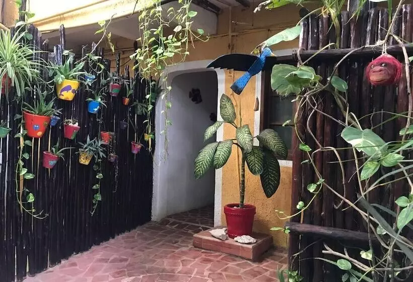 فندق Maison Tulum