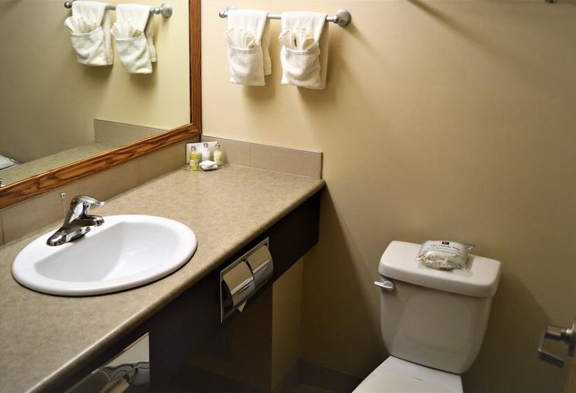 Отель Sigma Inn & Suites Hudson's Hope