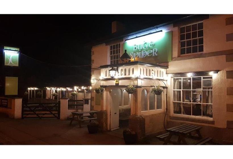 Hotel The Bug And Spider