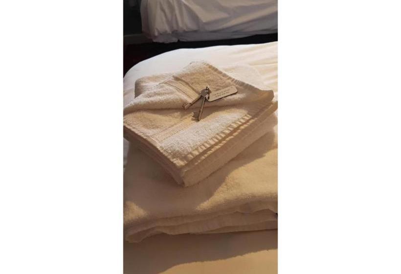 Hotel The Bug And Spider