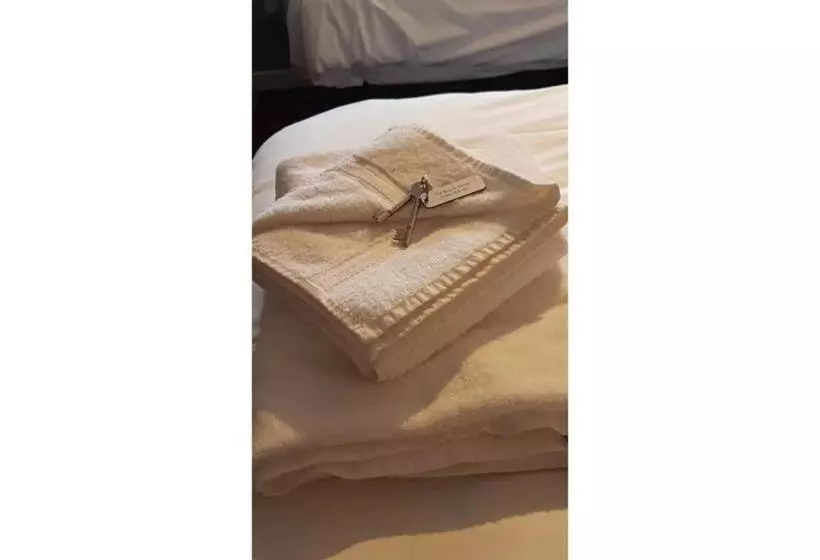 ホテル The Bug And Spider