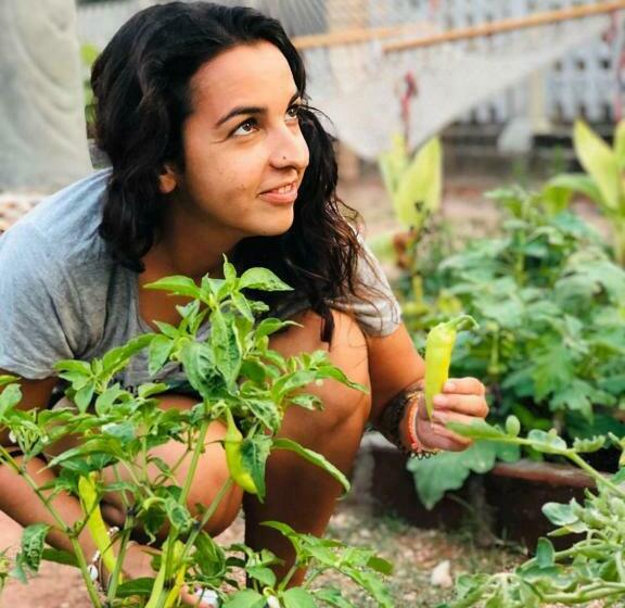 פנסיון Canal S Edge