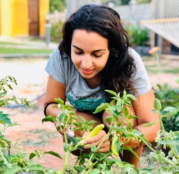 פנסיון Canal S Edge