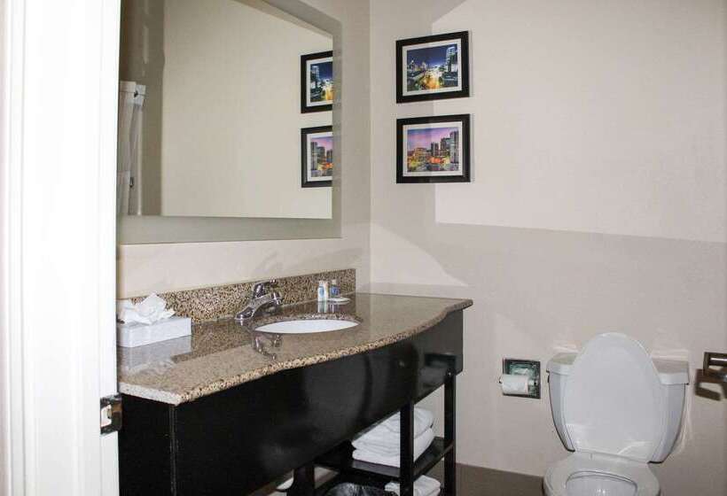 فندق Comfort Inn & Suites Fultondale Gardendale I65