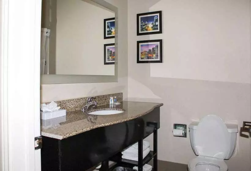 هتل Comfort Inn & Suites Fultondale Gardendale I65