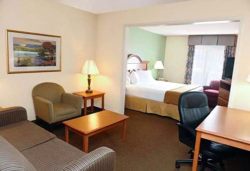 هتل Comfort Inn & Suites Fultondale Gardendale I65