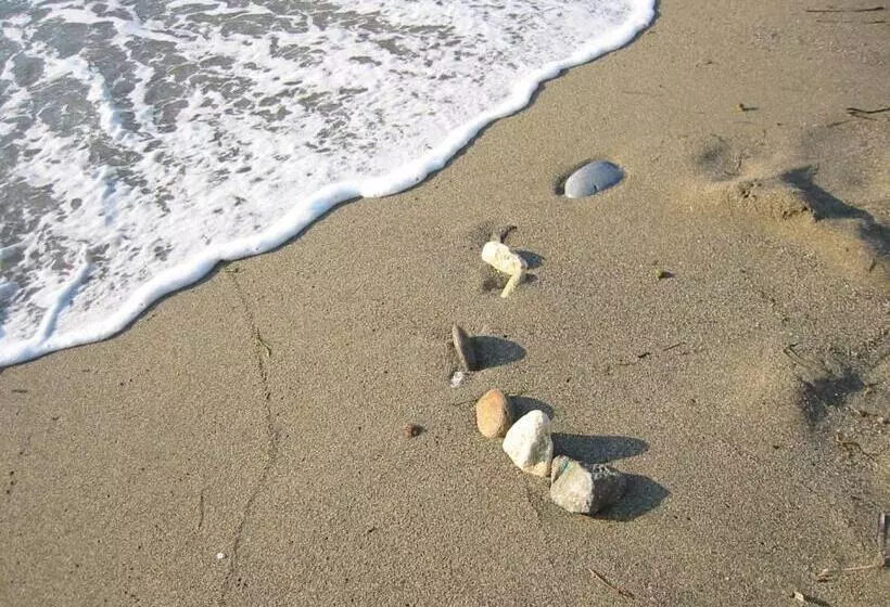 ホテル Eva Marina