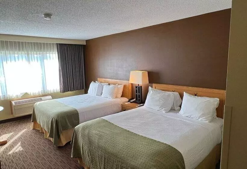 酒店 Splash Universe Resort