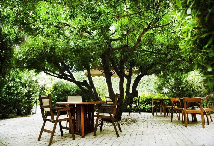 Rastoni Hotel Aegina