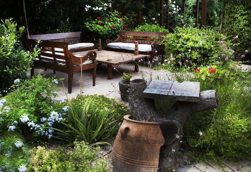 Rastoni Hotel Aegina