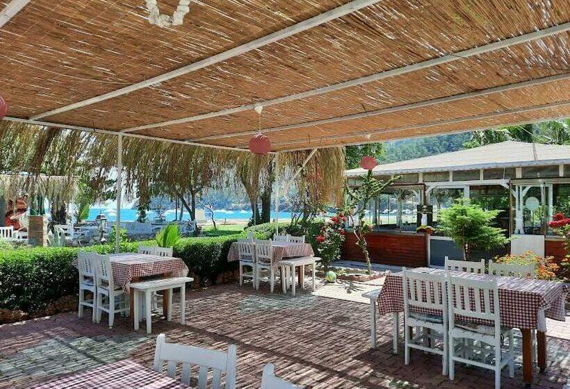 هتل Adrasan Maviay