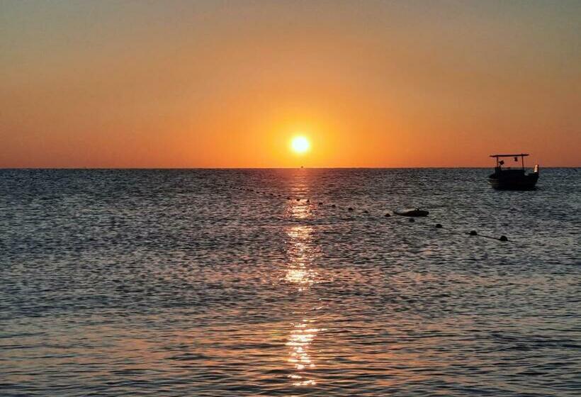 هتل Adrasan Maviay