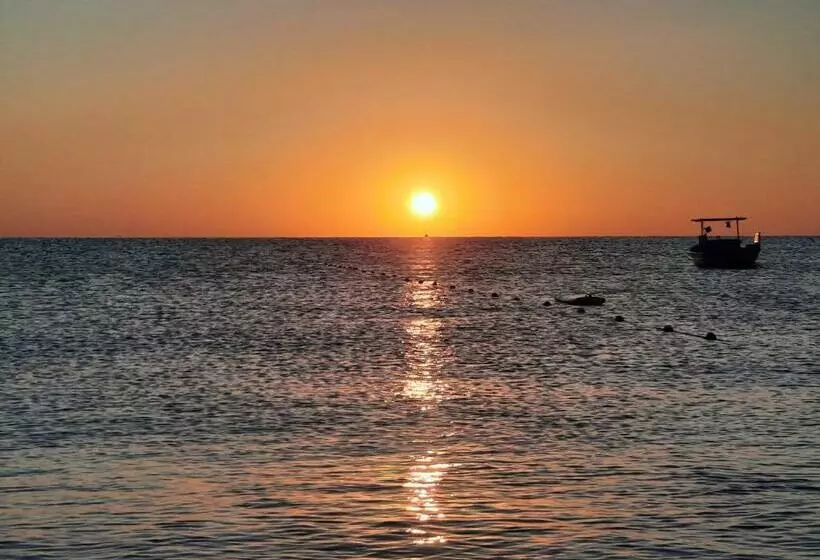 هتل Adrasan Maviay