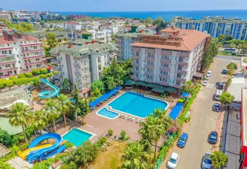 ホテル Grand Bahama Beach