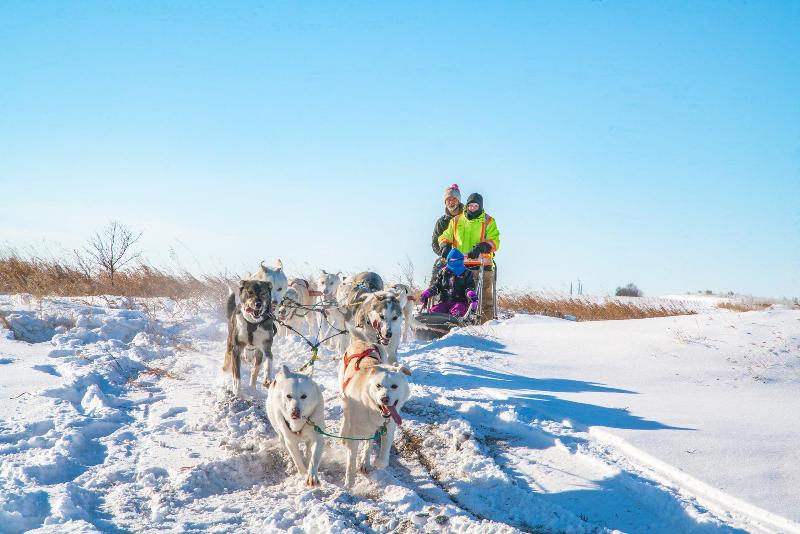 هتل Holiday Inn Saskatoon Downtown, An Ihg