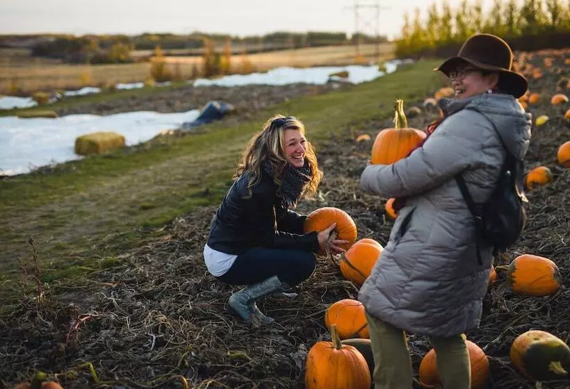 酒店 Holiday Inn Saskatoon Downtown, An Ihg