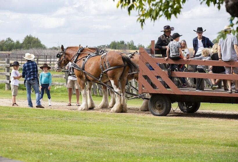 هتل Holiday Inn Saskatoon Downtown, An Ihg