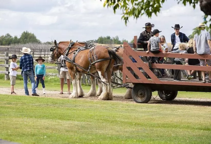酒店 Holiday Inn Saskatoon Downtown, An Ihg