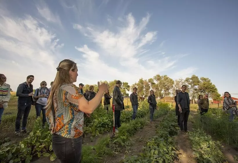 酒店 Holiday Inn Saskatoon Downtown, An Ihg