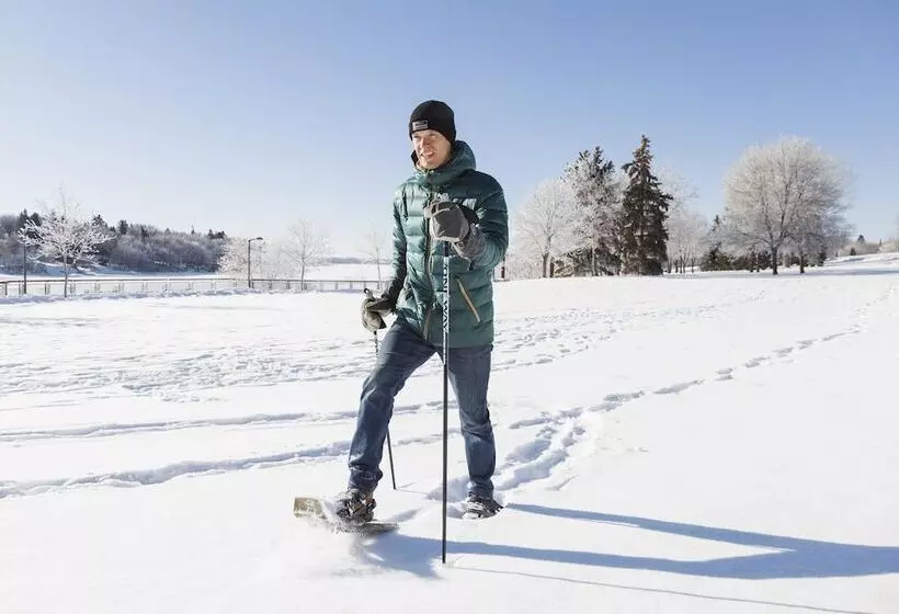 酒店 Holiday Inn Saskatoon Downtown, An Ihg