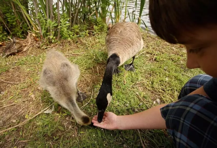 酒店 Holiday Inn Saskatoon Downtown, An Ihg
