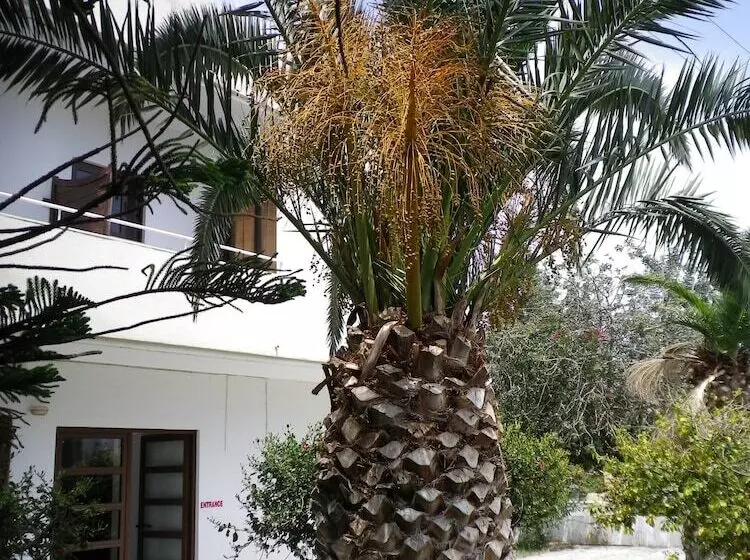 Mastorakis Hotel And Studios