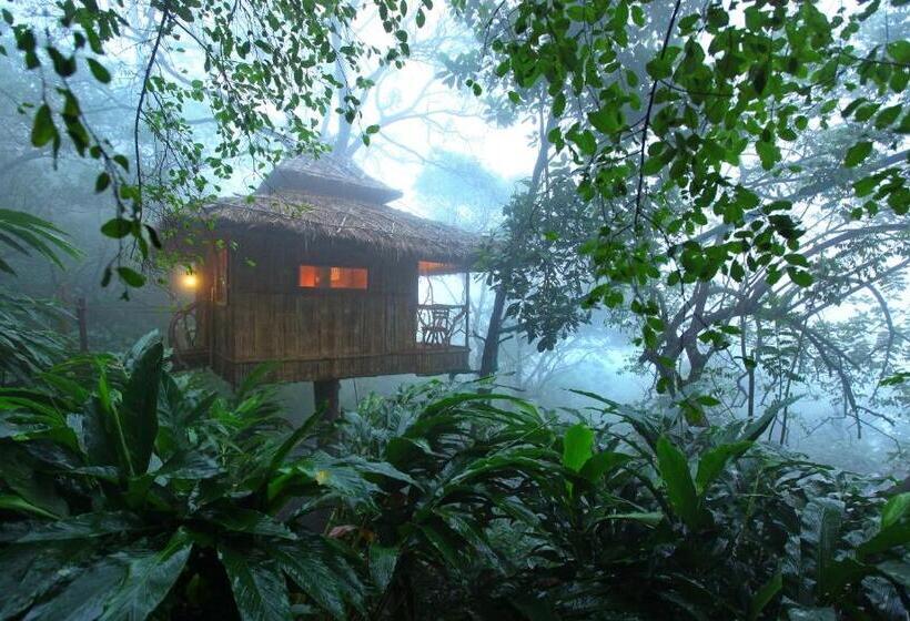 Greenwoods Resort, Thekkady