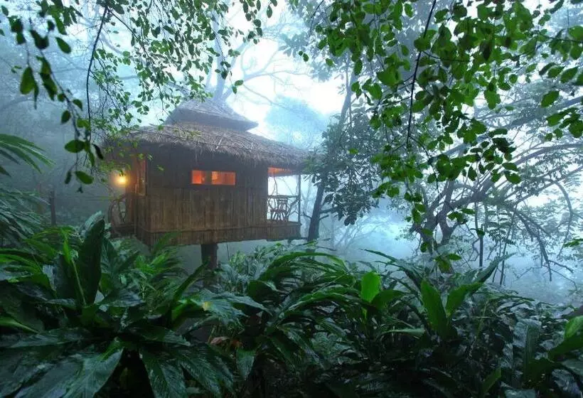 Greenwoods Resort, Thekkady