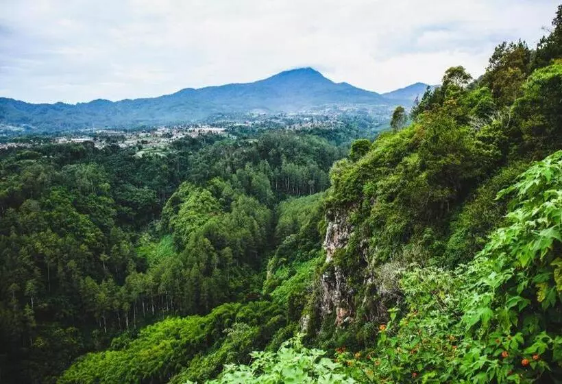 Отель Asmila Boutique