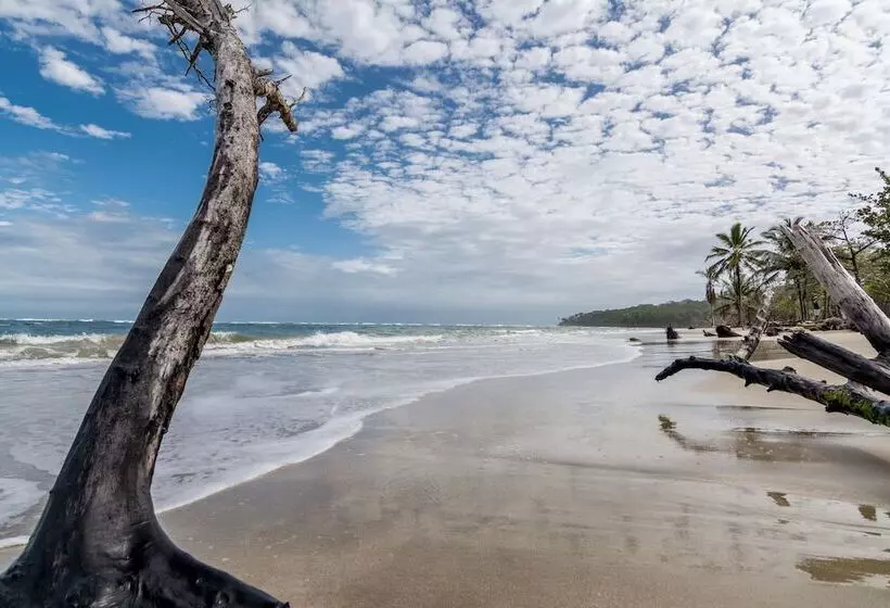 Hotel Atlantida Lodge