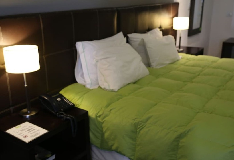 בית מלון כפרי Neu 354