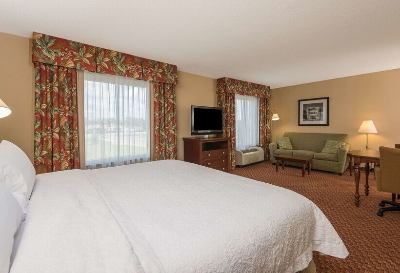 Hampton Inn & Suites Florencenorthi95