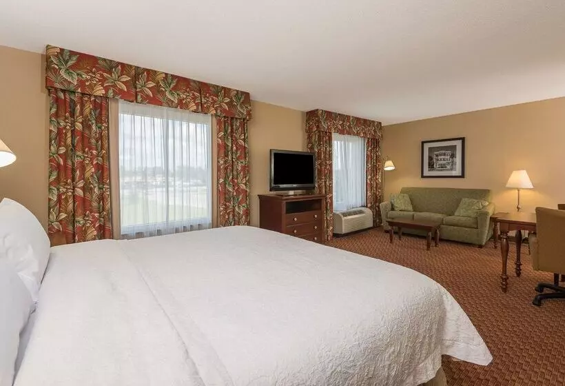 Hampton Inn & Suites Florencenorthi95