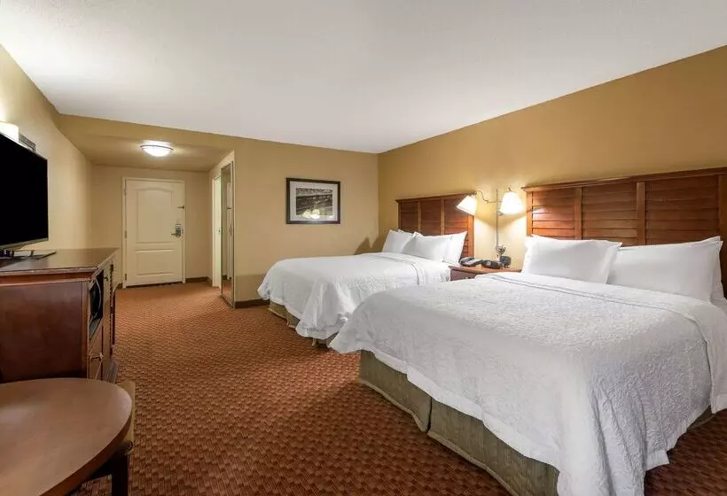 Hampton Inn & Suites Florencenorthi95