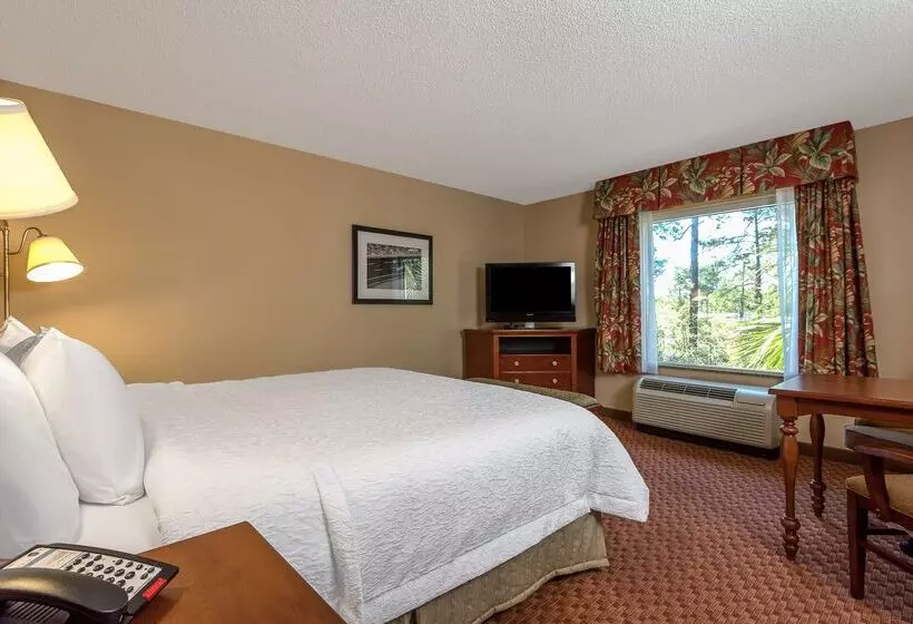 Hampton Inn & Suites Florencenorthi95